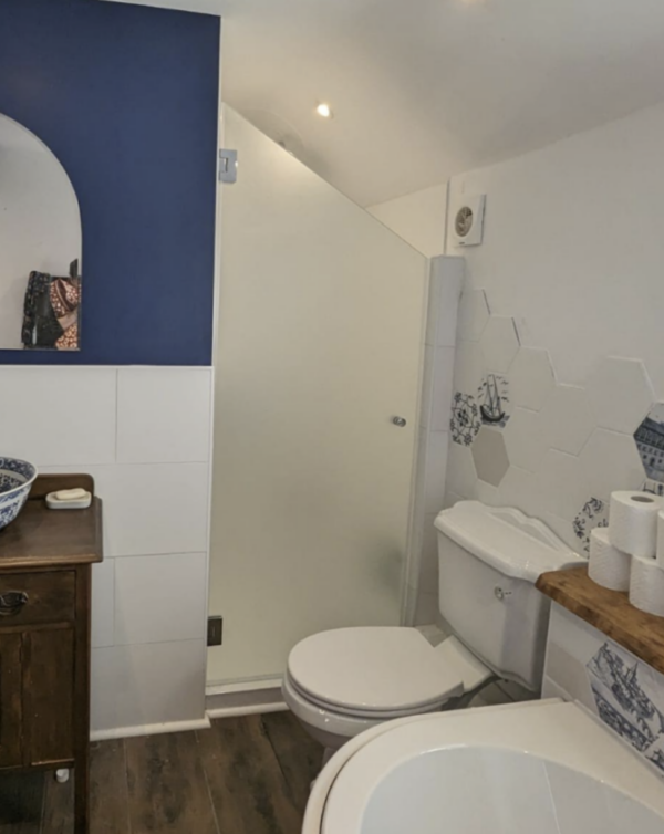 customer image of the loft shower door