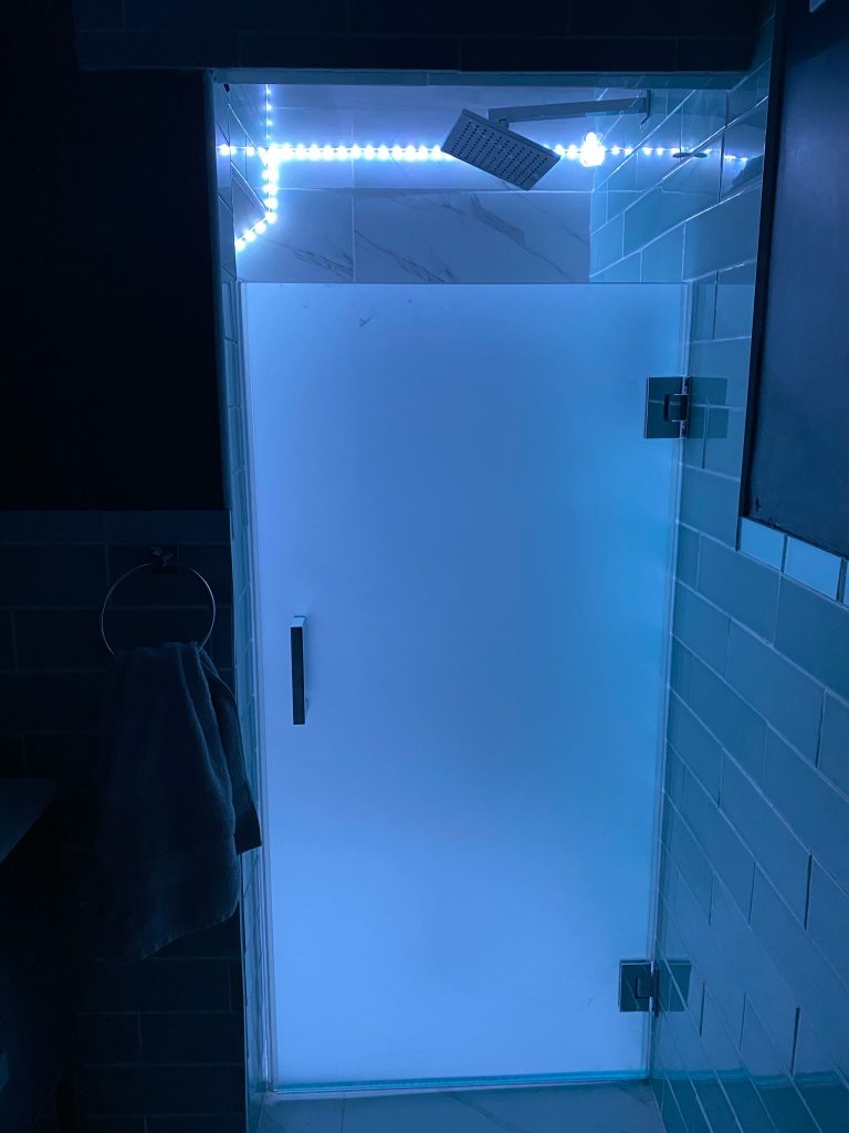 Sandblasted Single Shower Door